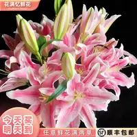 次日达 -【粉色百合】6朵粉色百合鲜花鲜切花家居花批发任意满两单顺丰包邮三单送花瓶今天拍明天到ee
