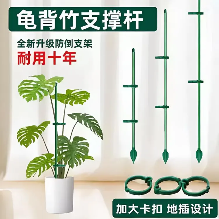 植物支撑杆兰花护叶枝龟背竹海芋专用园艺扶持架花卉防倒伏固定器