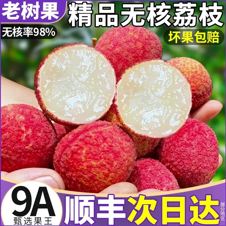 【顺丰空运】海南无核荔枝特大当季新鲜果园现摘送礼盒桂味水果孕妇