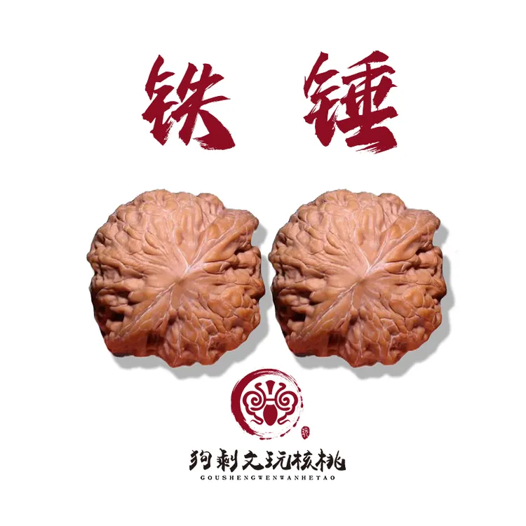 25年毕业铁锤妹妹无修已打底5号
