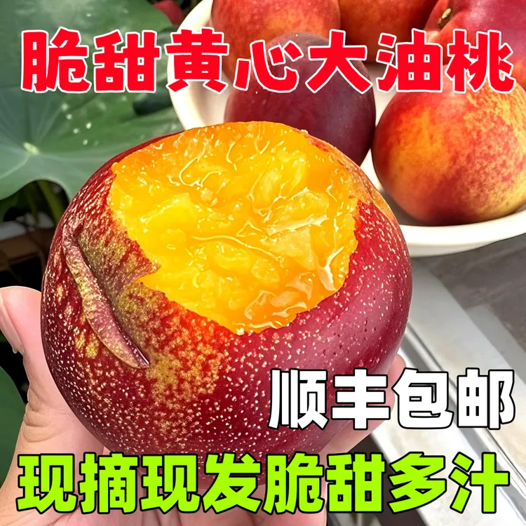 【顺丰包邮】头茬黄肉麻点大油桃 孕妇水果脆甜爽口应季新鲜采摘