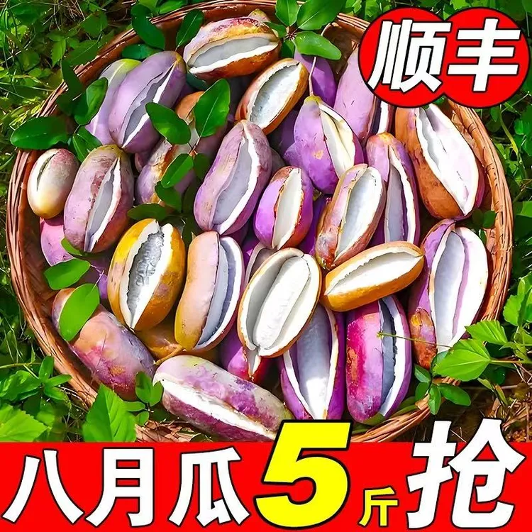 【顺丰】贵州紫皮八月瓜当季水果八月炸预知子三叶木桶果软糯香甜