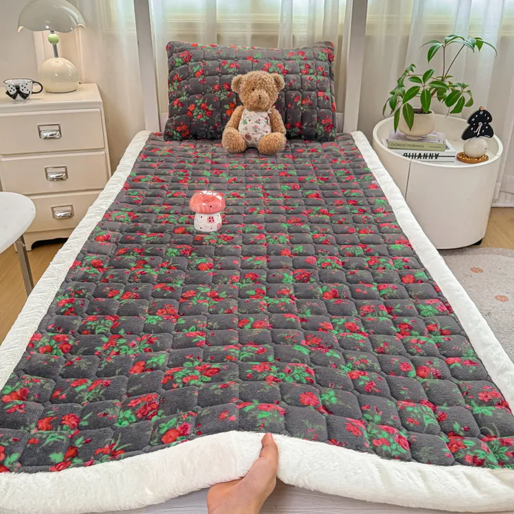 冬季泡泡牛奶绒床垫家用卧室学生宿舍2025褥子垫被床盖珊瑚绒床毯