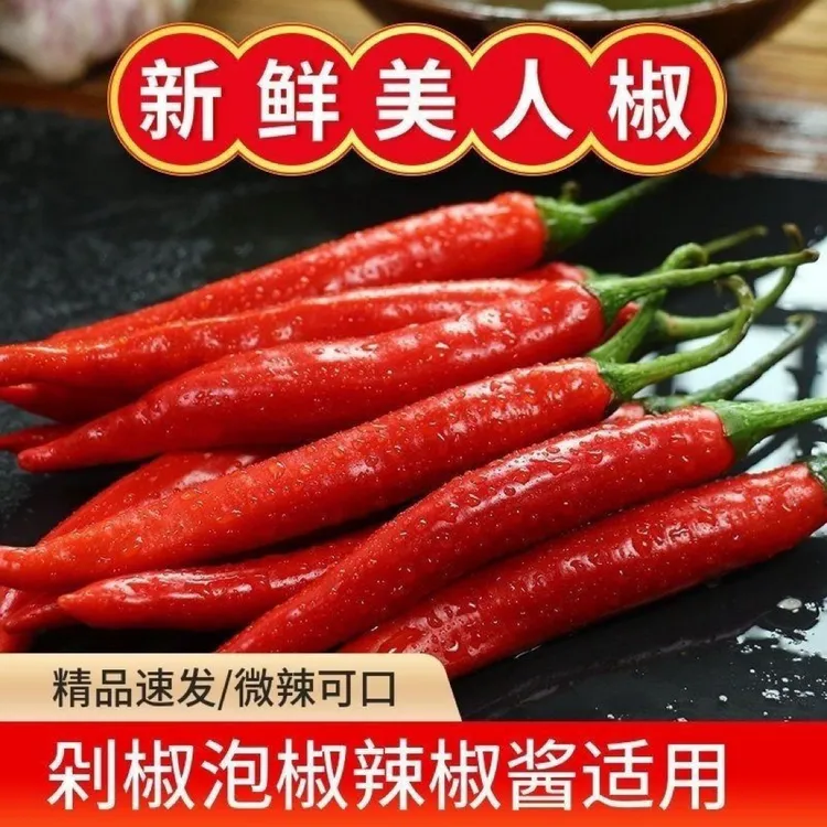 【三鑫鲜农】正宗美人椒微辣鲜香新鲜头茬现摘现发辣椒基地整箱包邮