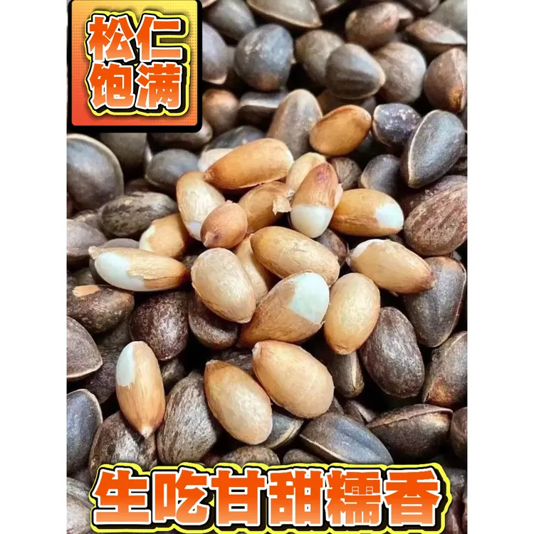 云南落水松野生薄壳黑松子25年新货追剧必备好吃不上火生吃甘清香