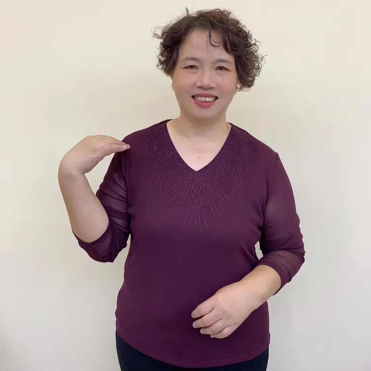 秋季中老年女装紧身气质时尚贵气妈妈V领打底上衣长袖237