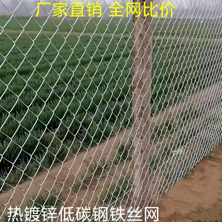 围栏防护网护栏铁丝网围墙护栏牛羊狗养殖勾花网护坡热镀锌防锈网