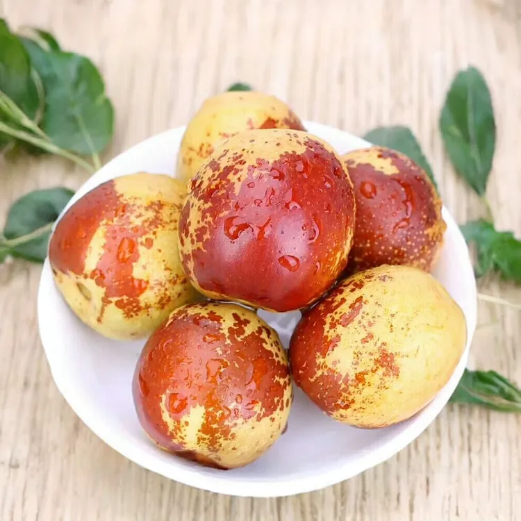 正宗陕西现摘2025喜事现发特大脆甜当季冬枣特大脆甜陕西大荔冬枣