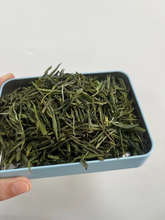 【A98一斤半】   高山野茶