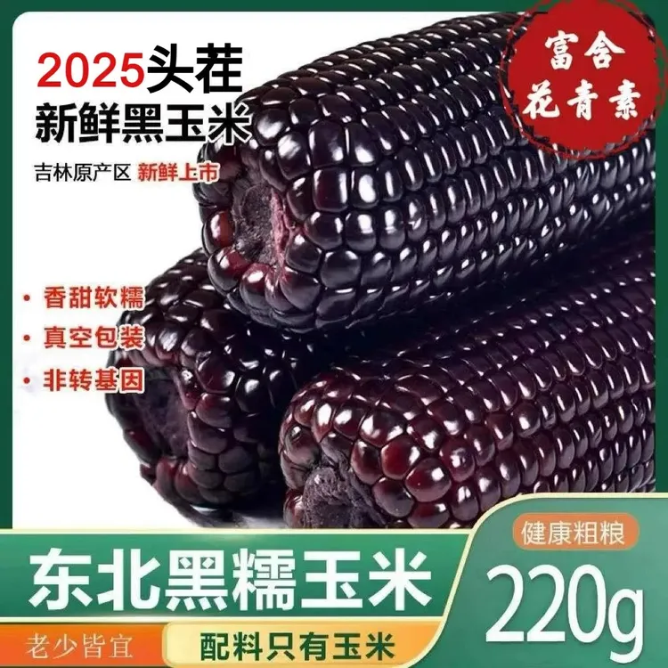 东北头茬甜糯黑玉米甜糯玉米糯玉米真空装新鲜富含花青素早餐粗粮