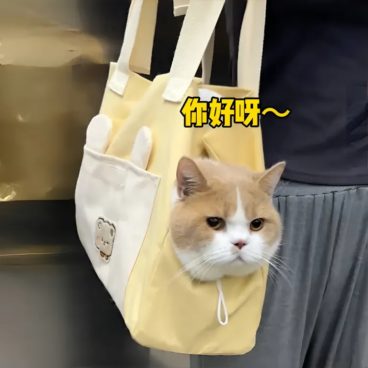 猫包外出便携包斜挎手提猫咪袋子小型犬可露头单肩包便携狗狗背包