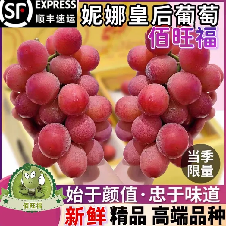 妮娜皇后葡萄新鲜孕妇水果红提子无籽红宝石当季现摘树上成熟味浓