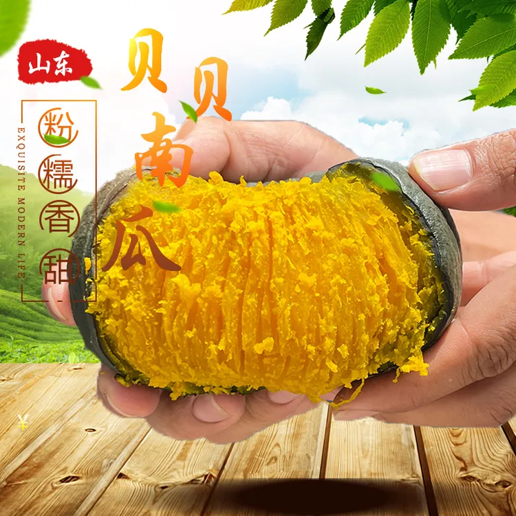 正宗1号贝贝南瓜新鲜蔬菜粉糯香甜板栗味粗粮代餐宝宝辅食小南瓜