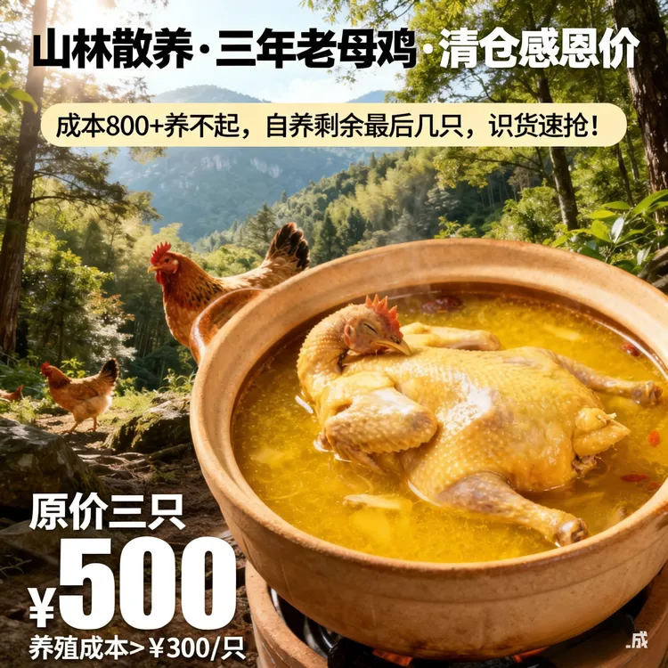 [买二送一[三斤宰杀剩2文昌鸡农家走地鸡散养整鸡吃五谷杂粮秘方