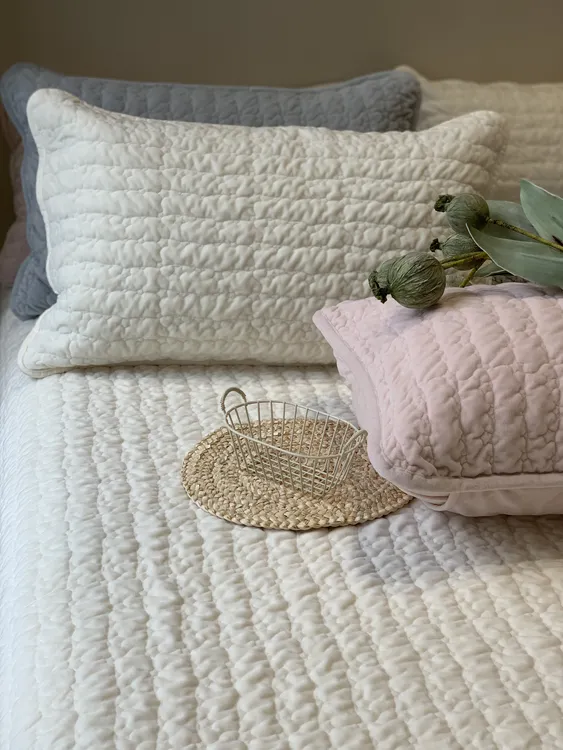 韩国大鹅 海洋荷兰绒床盖三件套 230*240 高克重绒+莫代尔