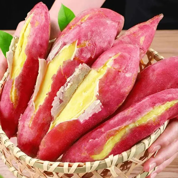 冰淇淋正宗陕西板栗蜜薯红薯新鲜板栗红薯粉糯香甜