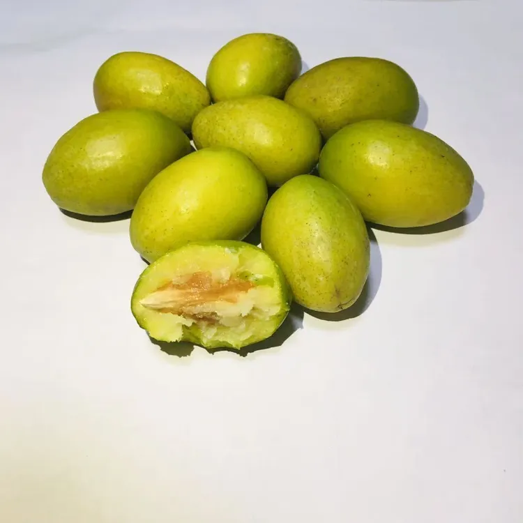 潮汕金灶老树纳种橄榄生吃浓香