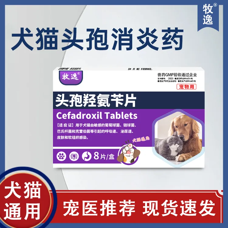 头孢羟氨苄片宠物狗狗猫咪犬用脓皮症伤口消炎感冒药兽用非处方药