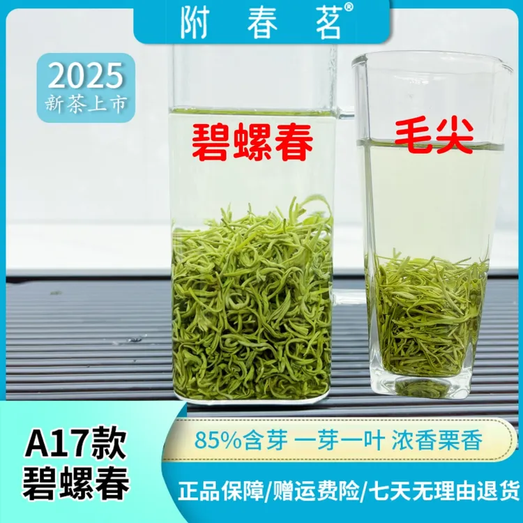 【2025年明前茶】A17款一芽一叶碧螺春85%含芽毛尖耐泡鲜爽回甘茶叶