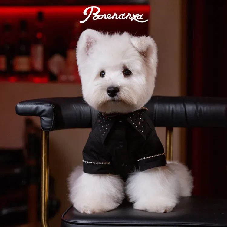 Bonennaza｜Dating夜色星耀衬衫