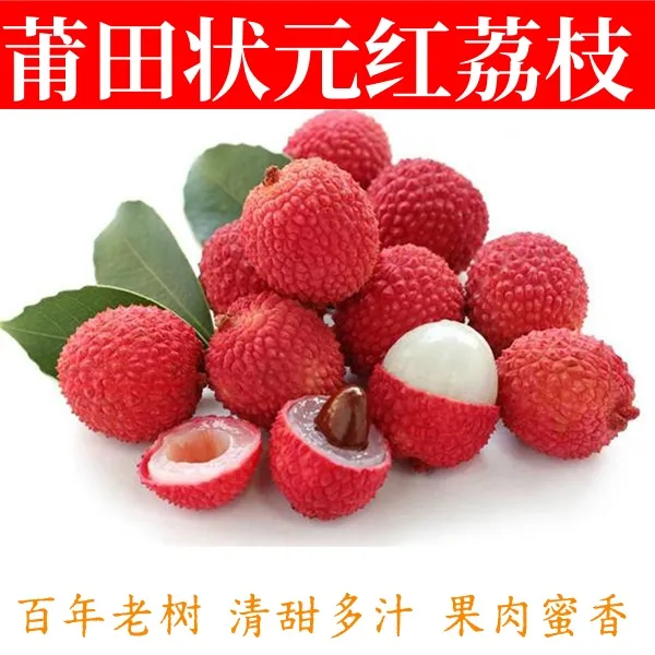 【甄选百年老树】莆田荔枝新鲜采摘果肉香嫩入口即化果园直发