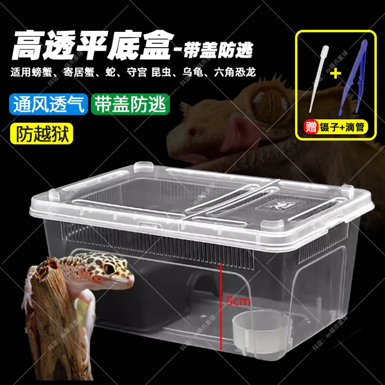 爬宠饲养盒箱角蛙守宫蛇冬眠人渣盒爬虫寄居蟹蜥蜴蜗牛乌龟饲养箱