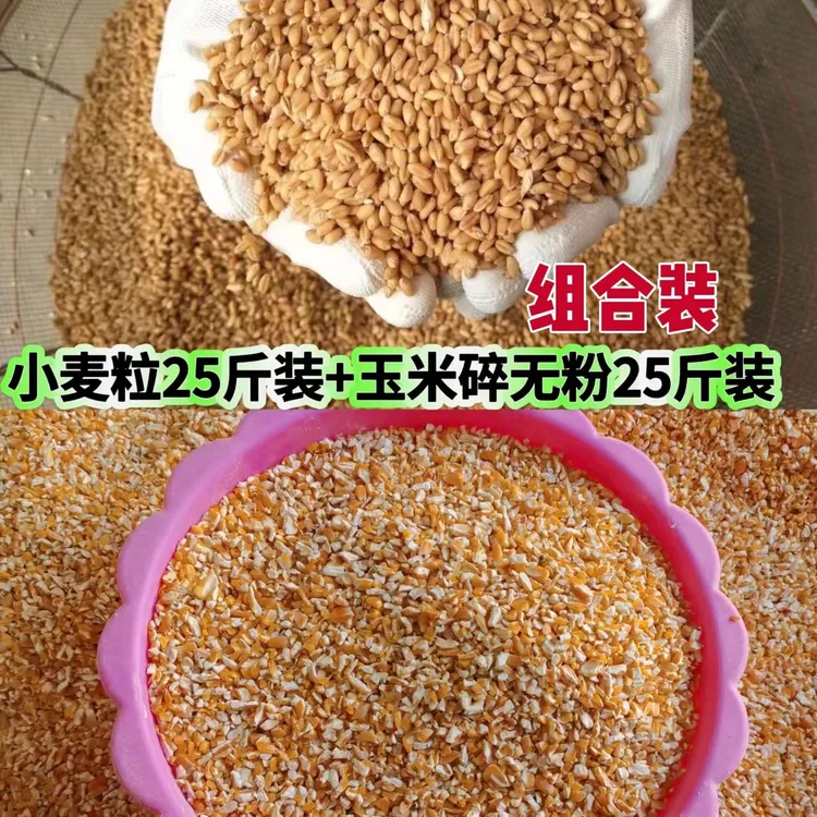带皮小麦粒喂鸡喂鸽生小麦粒喂宠物种小麦草磨面麦芽糖包邮