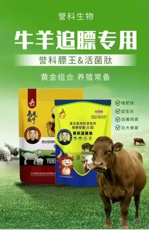 誉科膘王+活菌肽组合 效果翻倍 强力催肥 去油增重塑形 拉大骨架