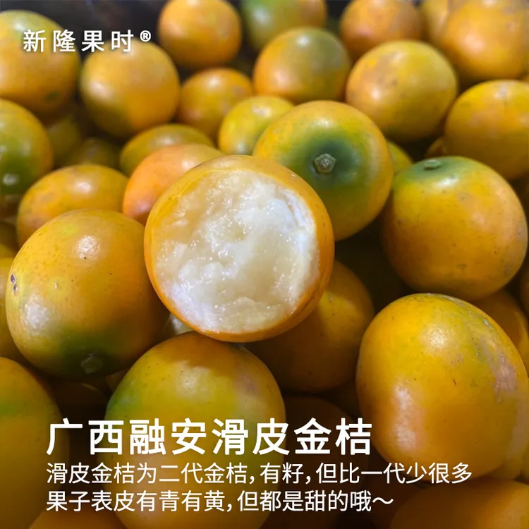 【乐呵专属】【新隆果时】广西融安滑皮金桔2-4斤装 新鲜现摘当季水果可带皮吃