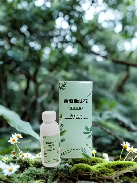  【新疆包邮】金和金桂花净味喷雾
