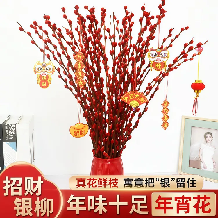 银柳真花鲜枝干花卉绿植摆件室内客厅过新年红色年宵花束装饰永生
