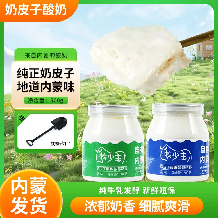牧少主经典奶皮子老酸奶内蒙古非冷萃希腊干噎酸奶500G零食