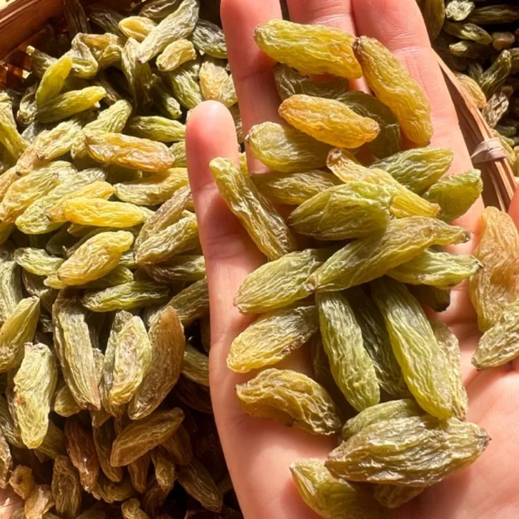 25年新货，新疆无核大颗粒绿香妃葡萄干香甜自然风干休闲零食