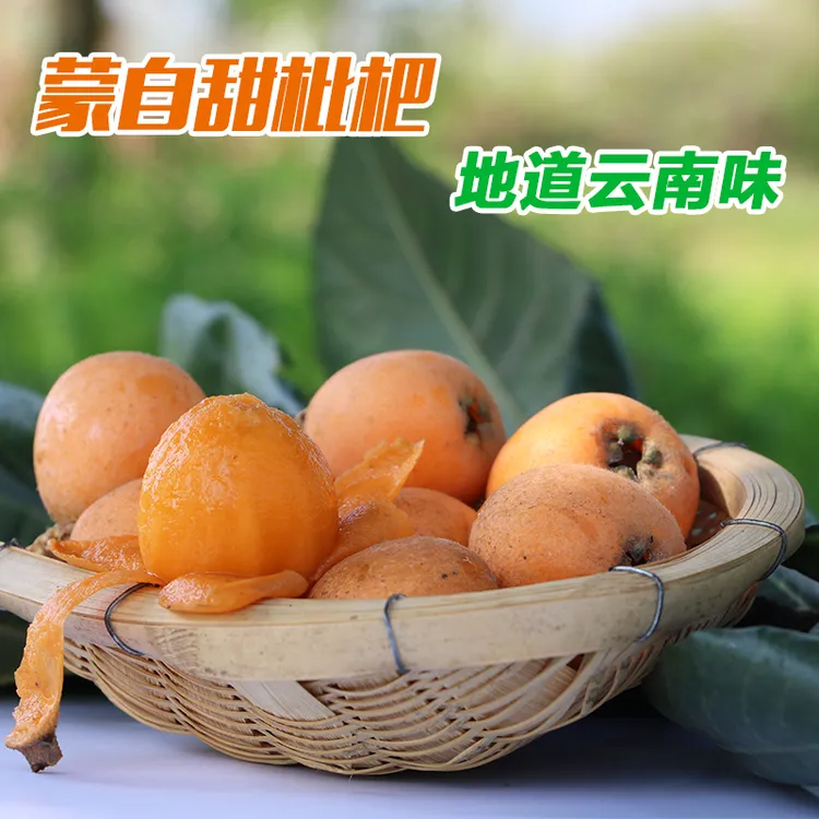 云南蒙自枇杷大五星长虹枇杷大果特大果果王1斤3斤5斤包邮顺丰