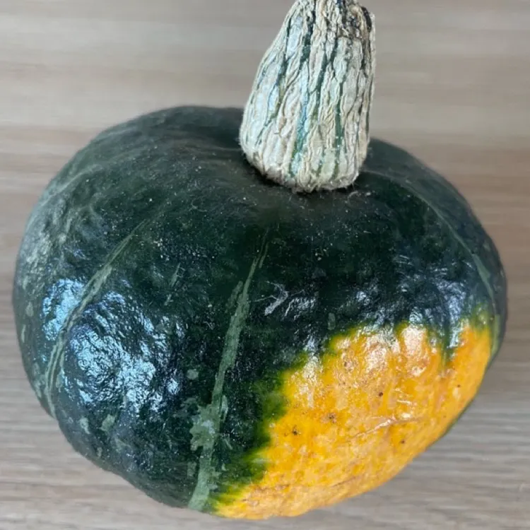 板栗南瓜粉糯香甜营养丰富贝贝南瓜