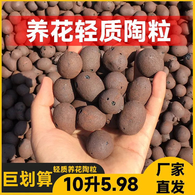 陶粒养花专用通用型花盆园艺垫底空心水培多肉花卉批发颗粒铺面