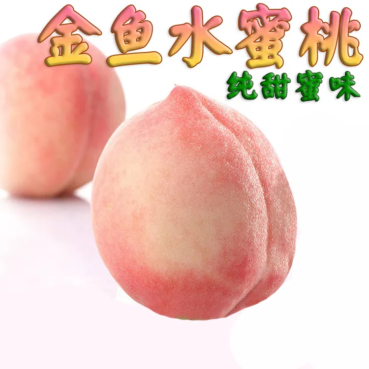 【顺丰】陕西纸袋正宗北京5号离核金鱼水蜜桃摘水果4.5-8.5斤爆汁