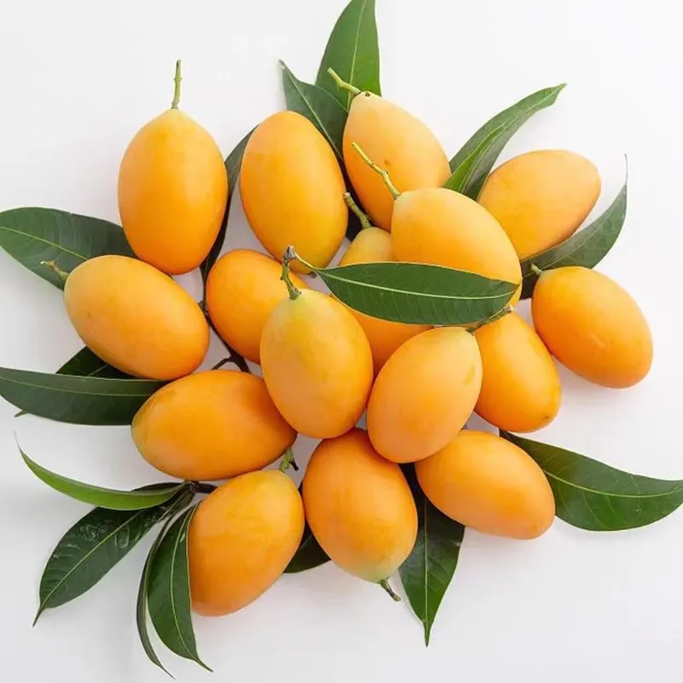 枇杷芒新鲜水果迷你小芒果枇杷芒装香甜芒新鲜水果罕见香甜可口皮