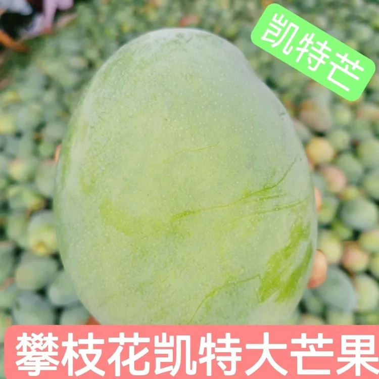 攀枝花凯特芒果酸甜多汁味道浓郁核小肉多新鲜水果