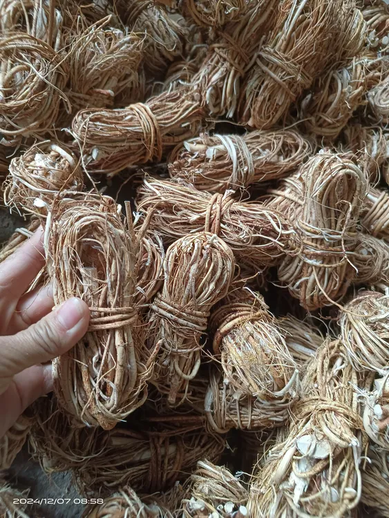 香味十足野生五指毛桃根干货小扎煲汤好食材250克起