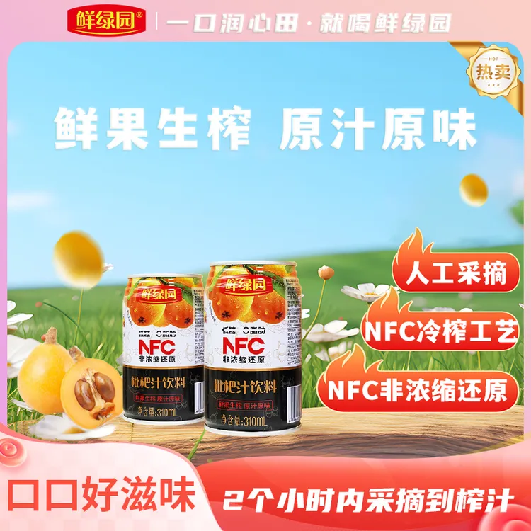 【1瓶≈13个枇杷】NFC铁罐装枇杷原浆营养饮品浓缩鲜榨果汁