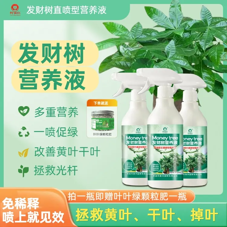 发财树一喷绿营养液防黄叶掉叶室内绿植花卉通用水溶肥园艺叶面肥