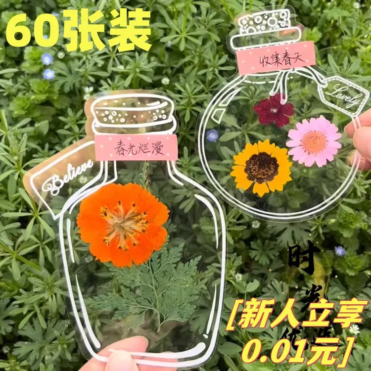 瓶子里的春天手工DIY透明贴纸玻璃瓶创意干花书签收集树叶标本
