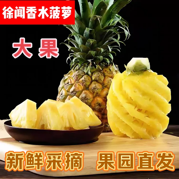 【徐闻菠萝大果】新鲜采摘原产地直发自然熟香甜多汁香水菠萝