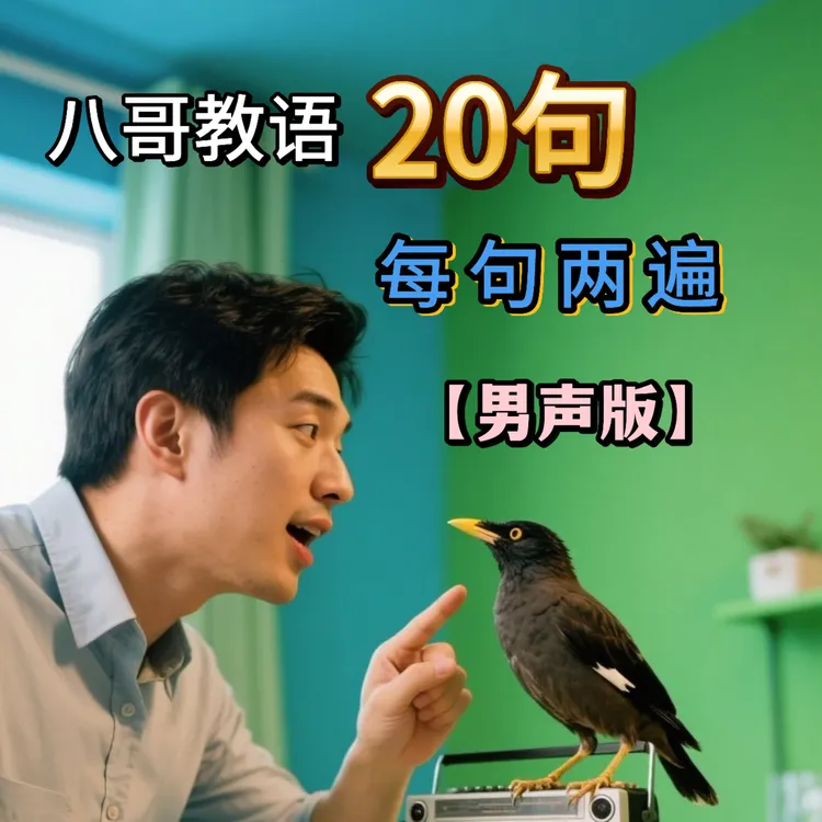 八哥教语音频卡鸟用宠物用品