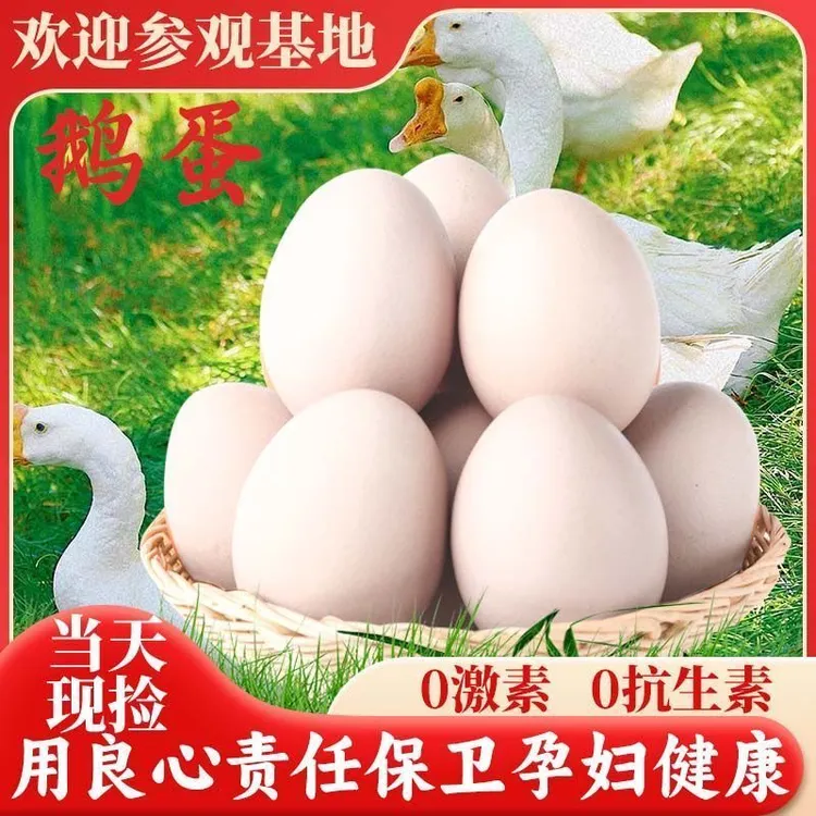 营口正宗农家散养新鲜鹅蛋营养丰富适合孕妇宝宝
