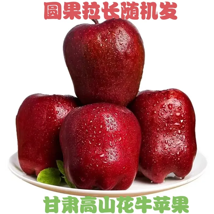 甘肃天水花牛苹果当季新鲜水果脆粉两吃红蛇果