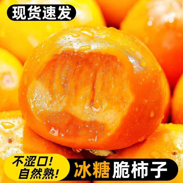 【现摘现发】山西运城阳丰巧克力脆柿子果园直发新鲜孕妇水果整箱L