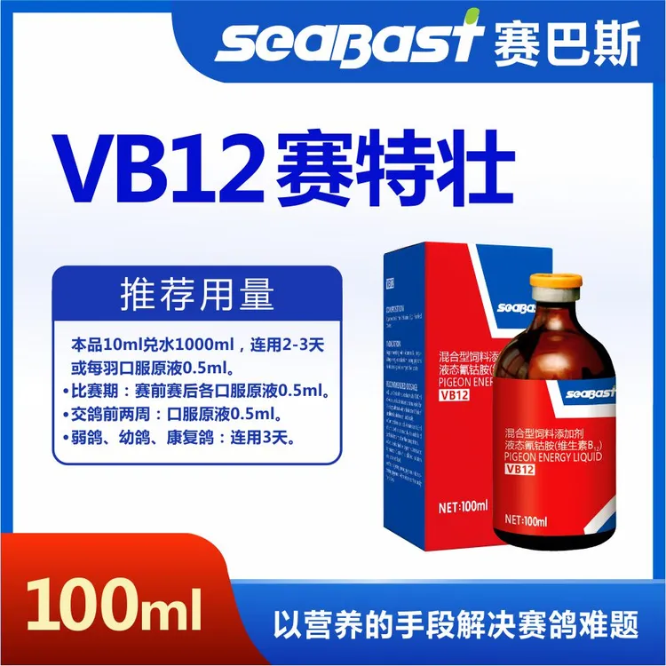 赛鸽VB12提速鸽子比赛信鸽斗鸡鸟类鸽子上笼打水