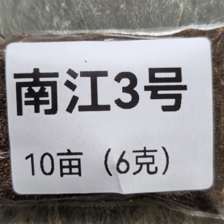 南江三号一代纯种裸籽产量高抗病强适用于海拔2400以下，WH